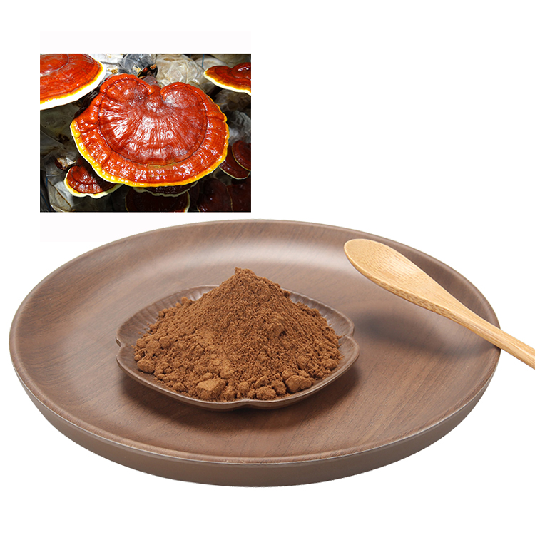 Get Ganoderma Lucidum Extract Powder High Potency - Boost Vitality Naturally